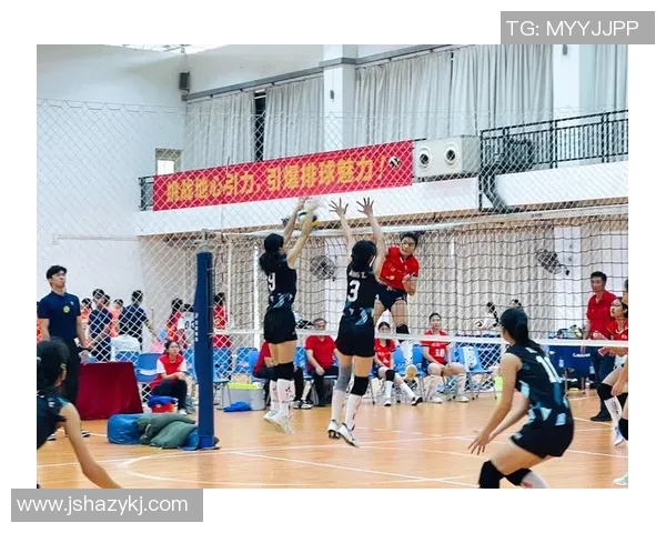 深圳排球队创新高引领排球节奏排名新潮流