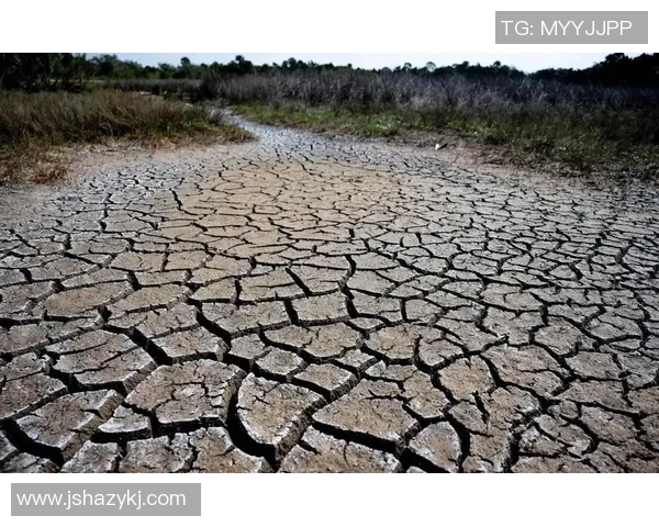 全球气候变化加剧极端天气频发 专家呼吁加强国际合作应对挑战 全球气候变化加剧极端天气频发 专家呼吁加强国际合作应对挑战