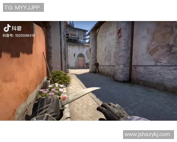 专访刘敏：深入探讨CSGO成功背后的策略与经验分享