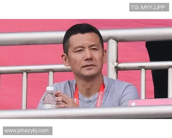 中国足球明星杨晨的辉煌历程与对中国足球的深远影响